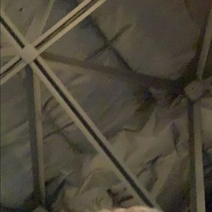 Meet your Posher, Nathaniel